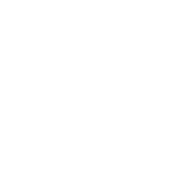 Summit Fair logo.